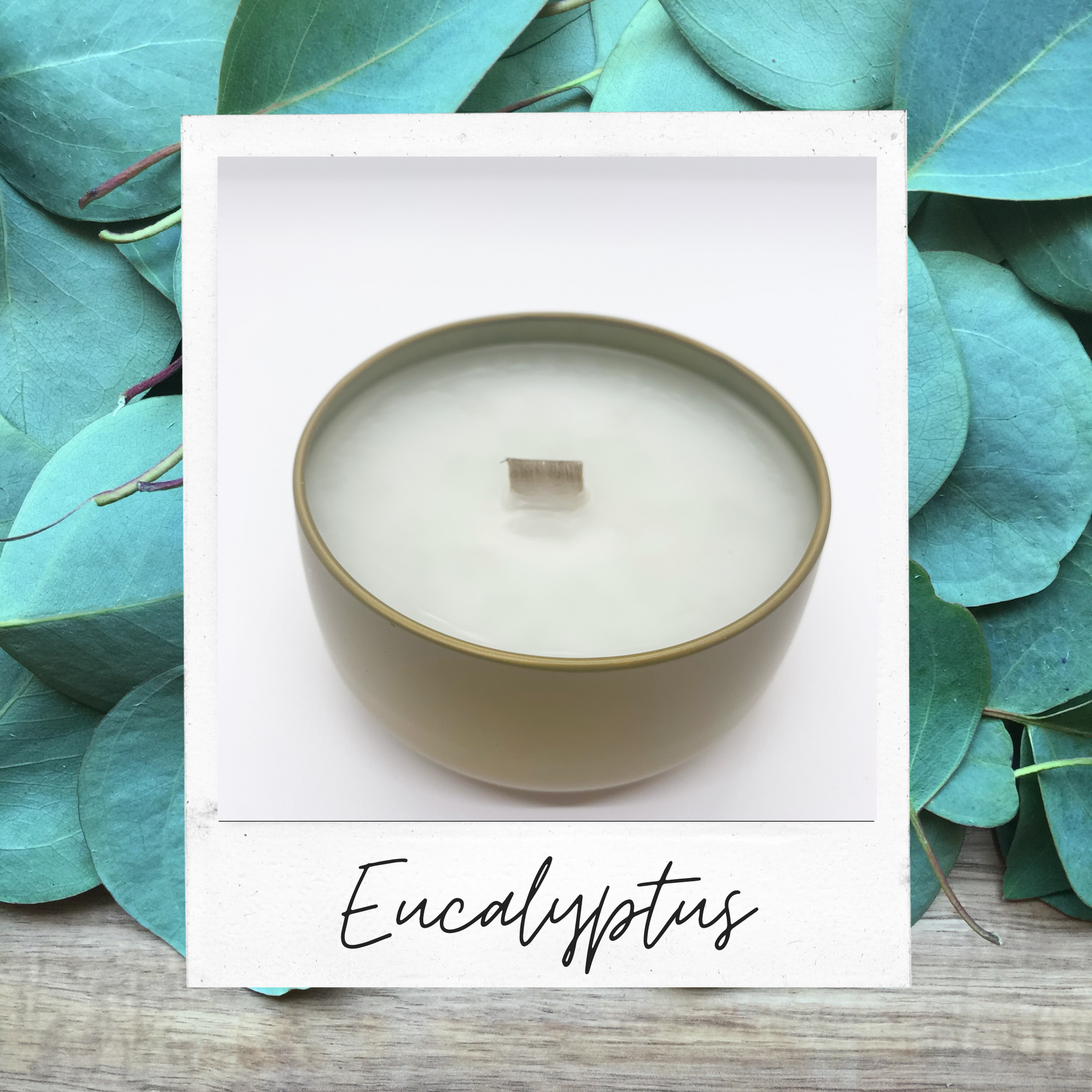 Eucalyptus