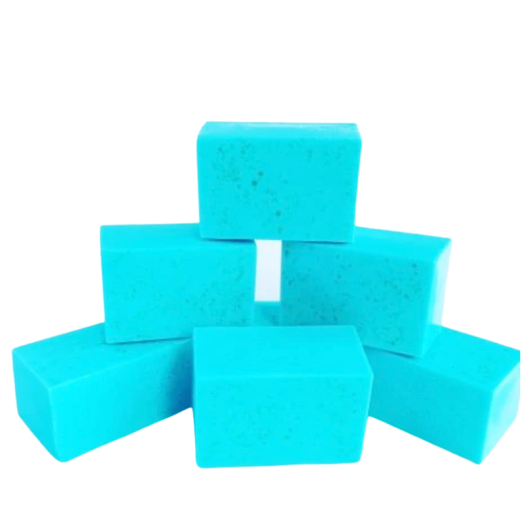 Breeze Men Soap